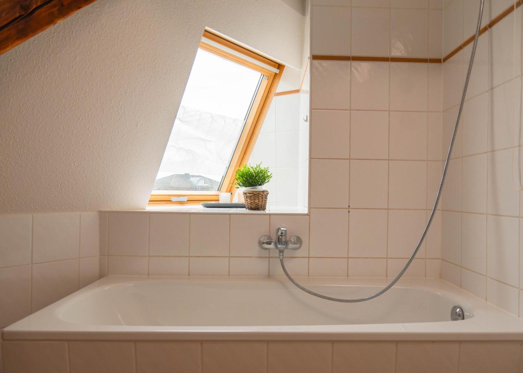 Apartmenthaus Rankestrasse 4 Dresden Eksteriør billede