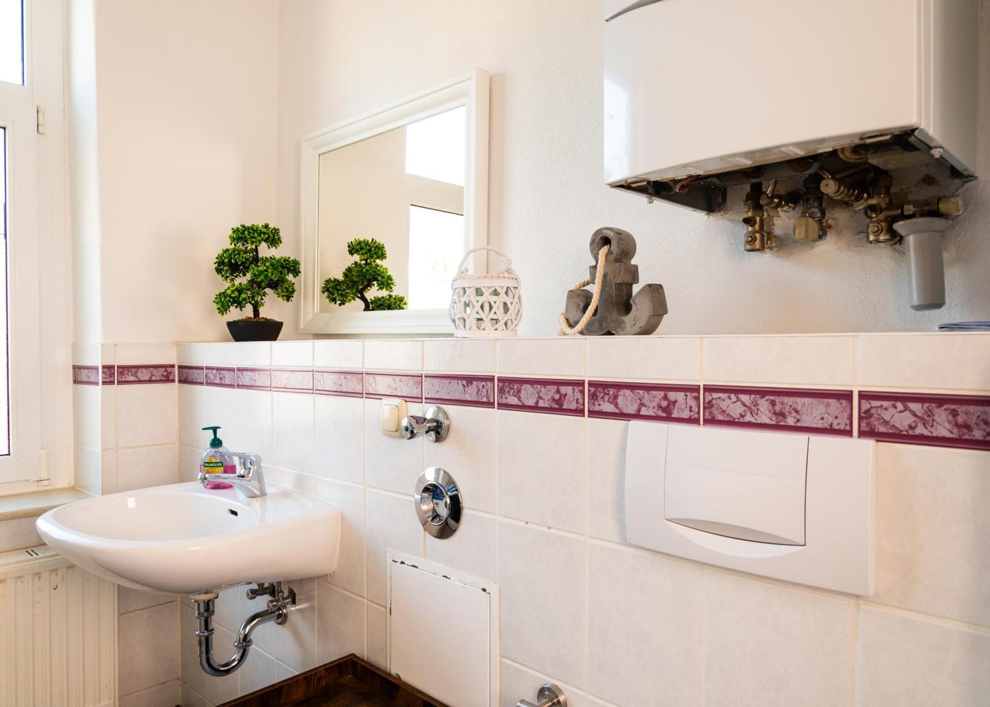 Apartmenthaus Rankestrasse 4 Dresden Eksteriør billede
